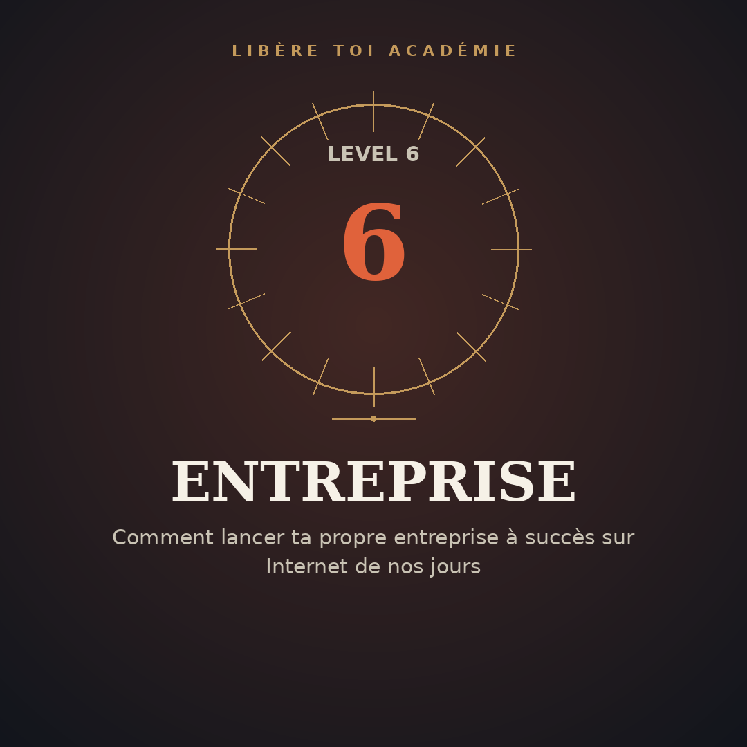 Level 6 - Entreprise